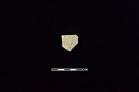 陶片藏品圖，第1張